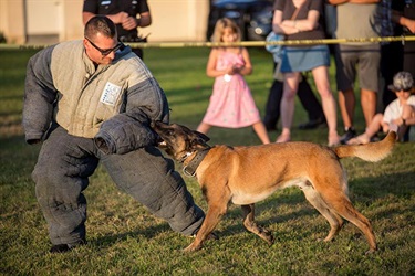K9 Demonstration
